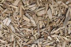 biomass boilers Polstead
